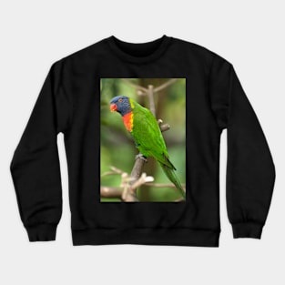 A Lorikeet in Singapore Crewneck Sweatshirt